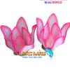 thue-hoa-sen