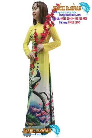 thue-ao-dai-ơ-dau-dep