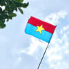 co-giai-phong